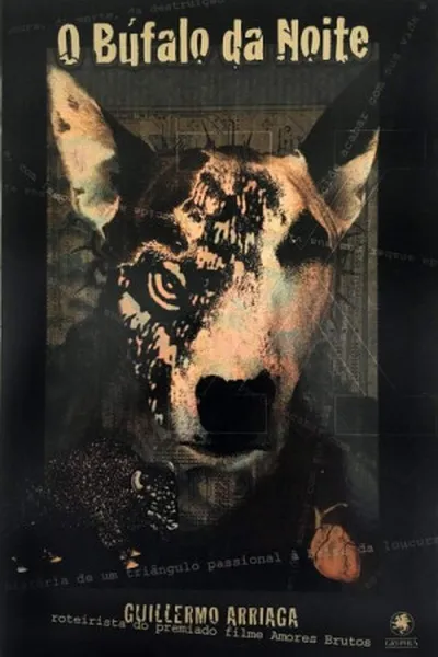 Cover of O búfalo da noite