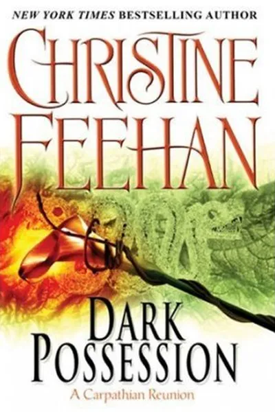 Cover of Possessão Sombria