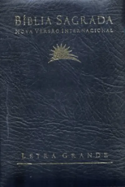Cover of Bíblia NVI