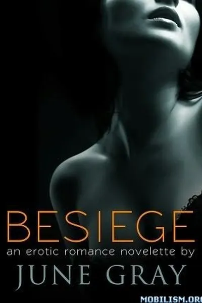 Cover of Besiege