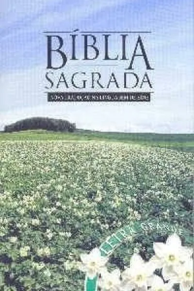 Cover of Bíblia Sagrada - NTLH
