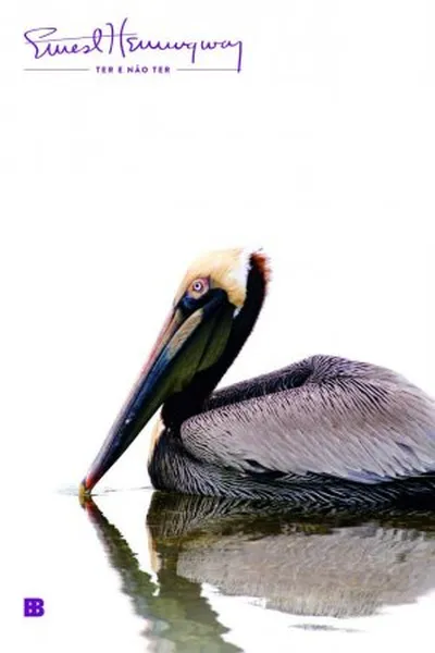 Cover of Ter e não ter