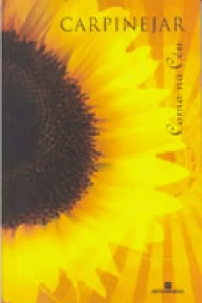 Cover of Como no Céu  &  Livro de Visitas