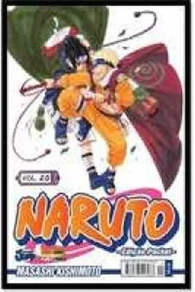 Cover of Naruto vol.20