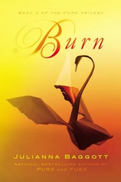 Cover of Burn