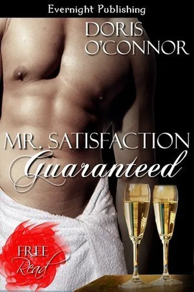 Cover of Mr. Satisfaction Guaranteed