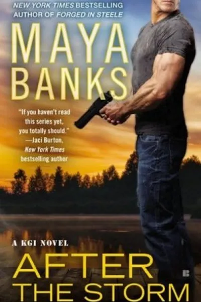 Cover of After the Storm