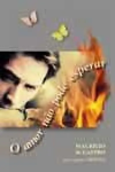 Cover of O Amor não pode esperar