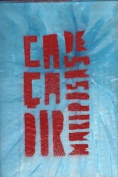 Cover of O caçador de mariposas