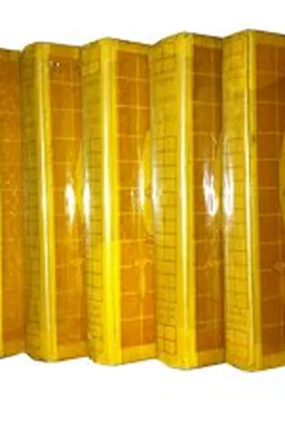 Cover of O Visconde de Bragellone