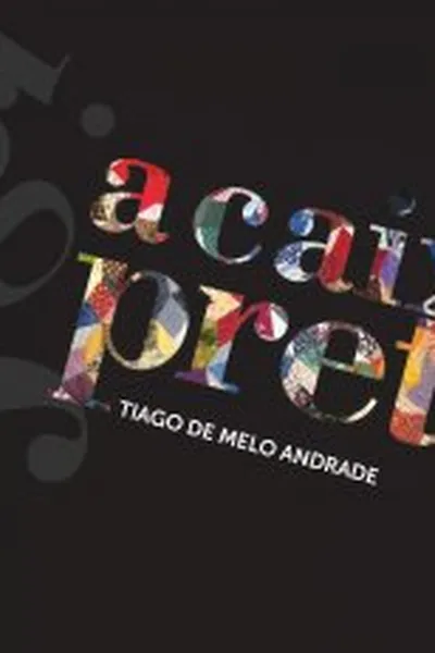 Cover of A caixa preta