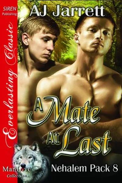 Cover of A Mate at Last