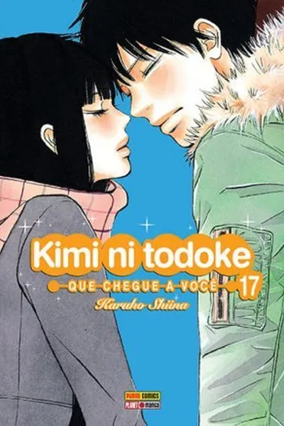 Cover of Kimi ni Todoke #17