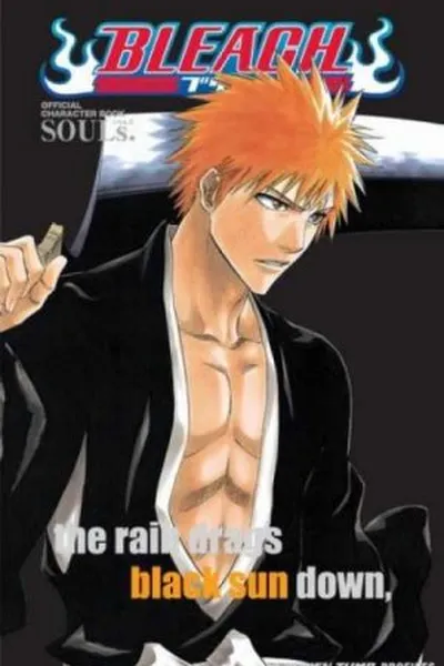 Cover of Bleach: Official Character Book SOULs