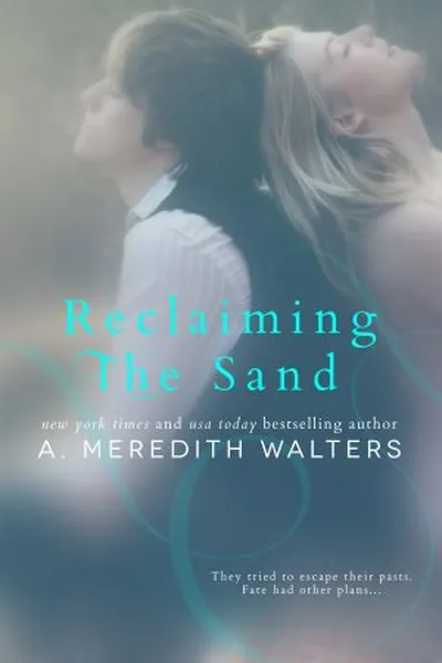 Cover of Reclaiming The Sand