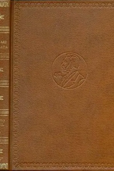 Cover of Nuvem de Pássaros brancos