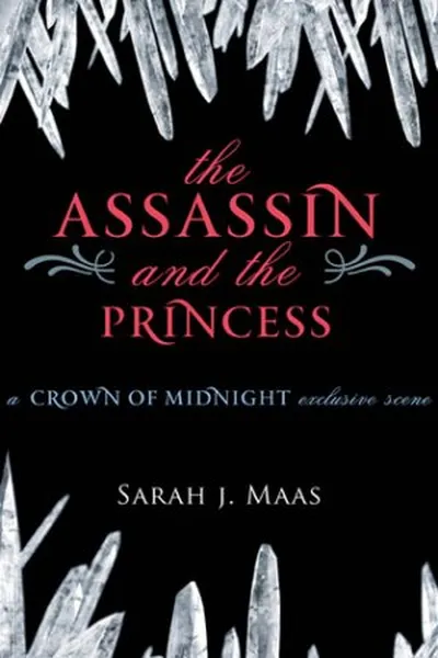 Cover of The Assassin and The Princess