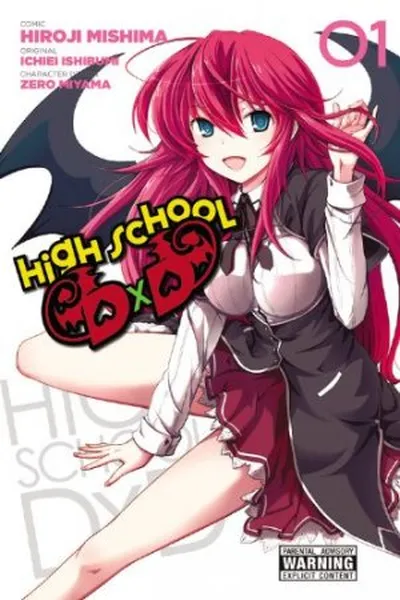 Cover of High School DxD #01