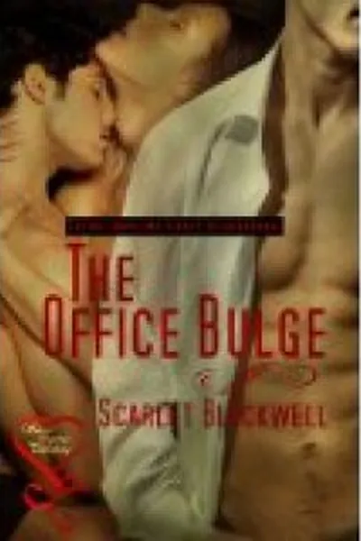 Cover of The Office Bulge