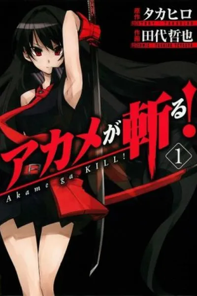 Cover of Akame ga Kill! #1