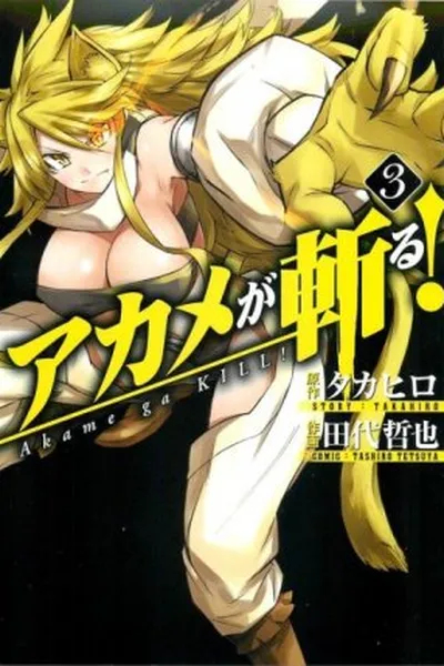 Cover of Akame ga Kill! #3