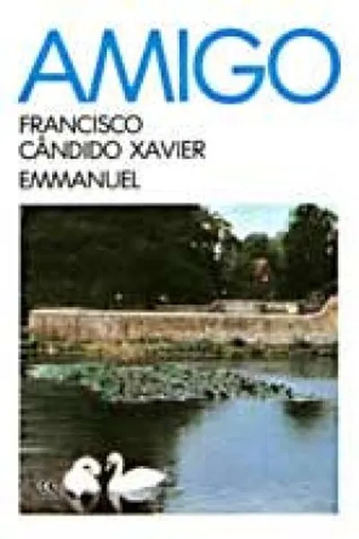 Cover of Amigo