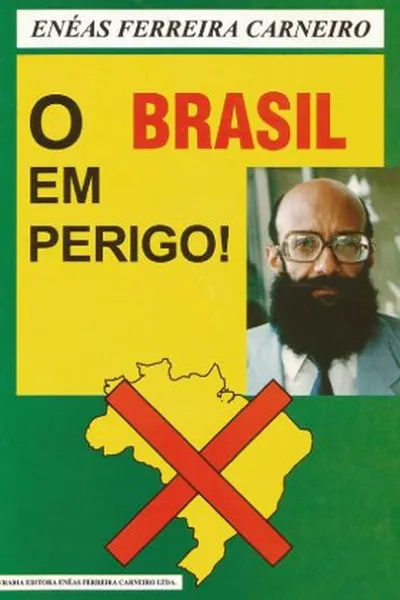 Cover of O Brasil em Perigo