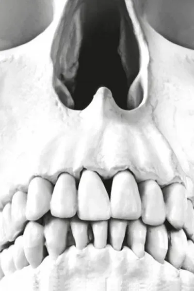 Cover of Arquivos - Serial Killers