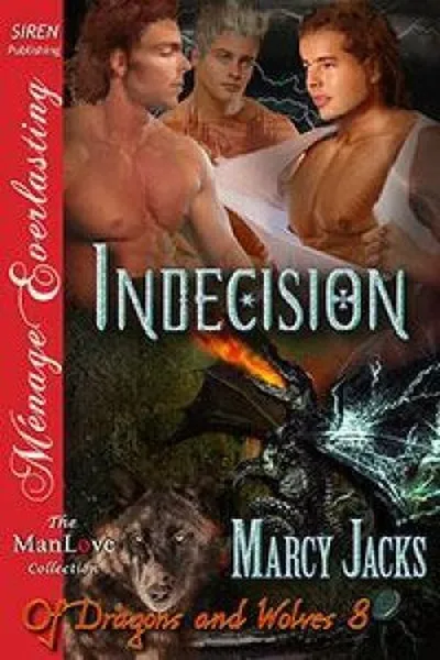 Cover of Indecision