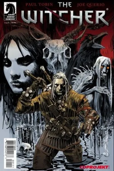 Cover of The Witcher #1