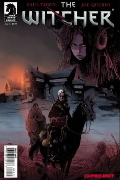 Cover of The Witcher #2