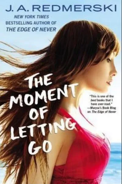 Cover of The Moment of Letting Go