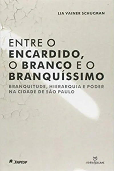 Cover of Entre o encardido, o branco e o branquíssimo
