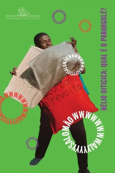 Cover of Hélio Oticica: Qual é o Parangolé?