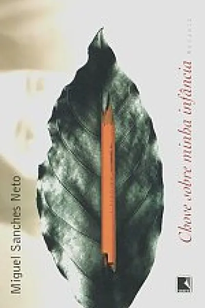 Cover of Chove sobre minha infância