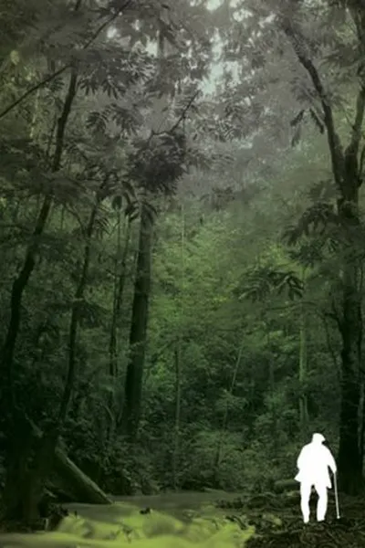 Cover of O Professor de Botânica