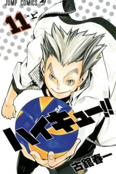 Cover of Haikyuu!! #11