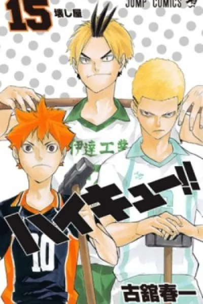 Cover of Haikyuu!! #15