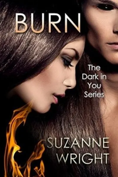 Cover of Burn