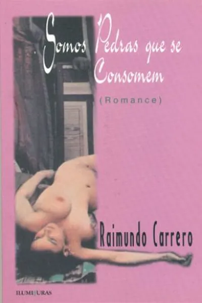 Cover of Somos pedras que se consomem