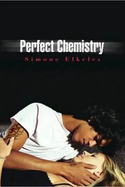 Cover of Perfect Chemistry