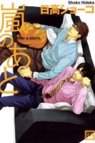 Cover of Arashi No Ato