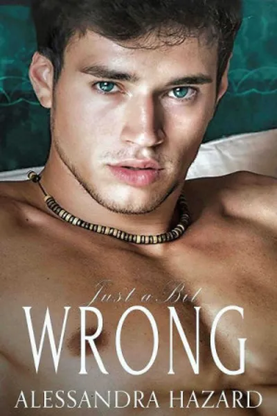 Cover of Just a Bit Wrong