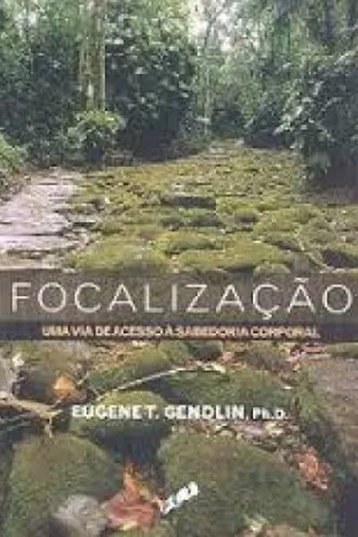 Cover of Focalização