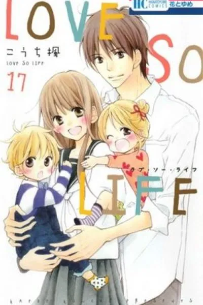 Cover of Love so Life #17