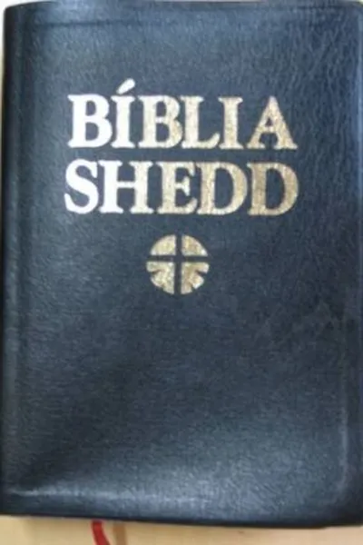 Cover of Bíblia Estudo Sheed