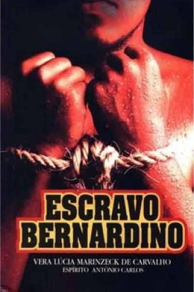 Cover of Escravo Bernardino