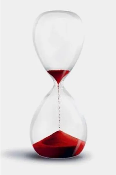 Cover of A Breve Segunda Vida de Bree Tanner