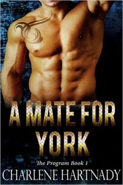 Cover of A mate for York