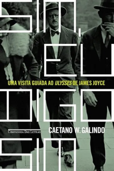 Cover of Sim, eu digo sim